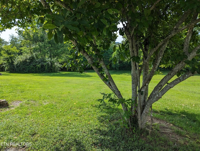 147 Evans Rd, Greenback, TN 37742 - photo 29