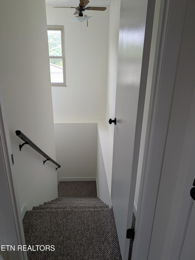 147 Evans Rd, Greenback, TN 37742 - photo 16