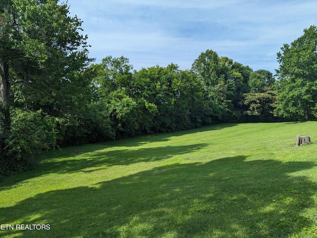 147 Evans Rd, Greenback, TN 37742 - photo 28