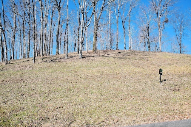 240 Wilson Cir, Smithville, TN 37166 - photo 6