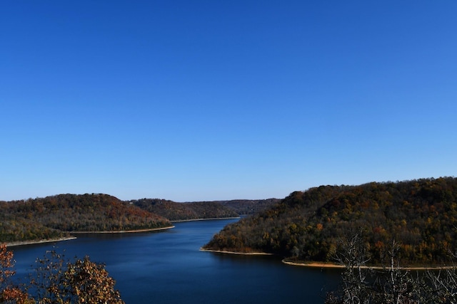 240 Wilson Cir, Smithville, TN 37166 - photo 27