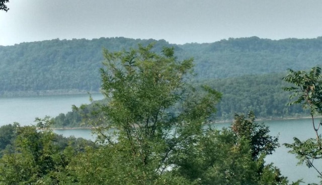 405 Maury Ln, Smithville, TN 37166 - photo 2