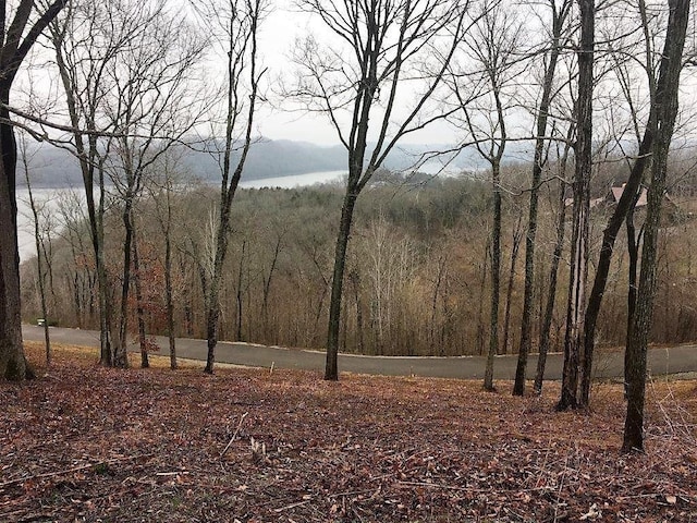 405 Maury Ln, Smithville, TN 37166 - photo 7