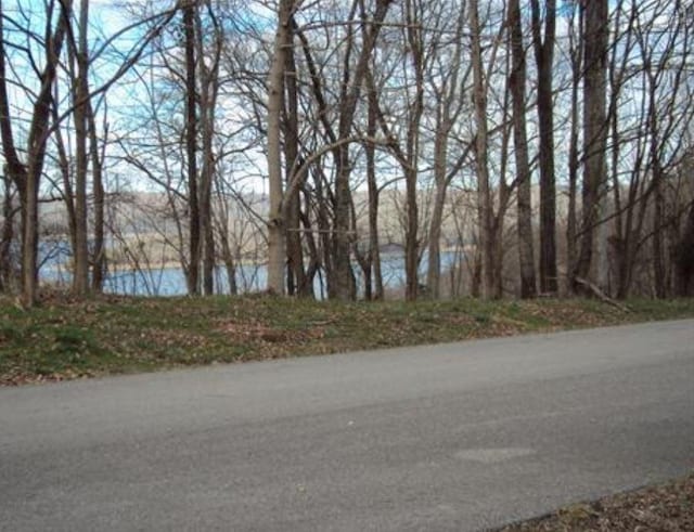 405 Maury Ln, Smithville, TN 37166 - photo 19