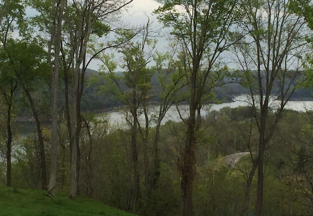 405 Maury Ln, Smithville, TN 37166 - photo 5