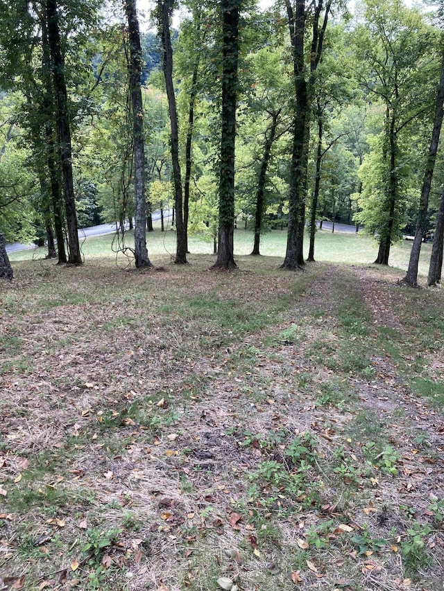 405 Maury Ln, Smithville, TN 37166 - photo 29