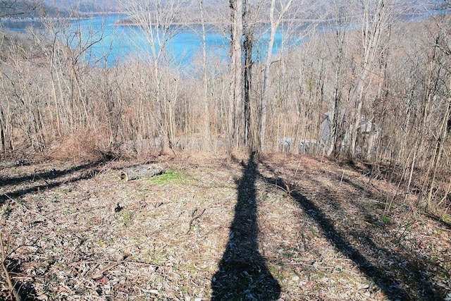 405 Maury Ln, Smithville, TN 37166 - photo 15