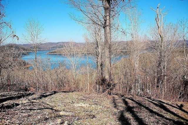 405 Maury Ln, Smithville, TN 37166 - photo 1
