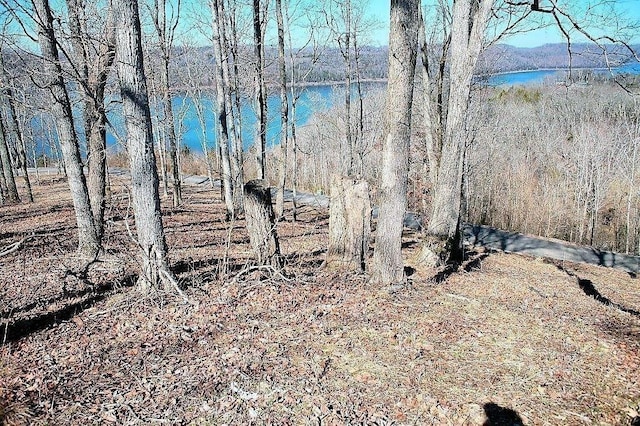 405 Maury Ln, Smithville, TN 37166 - photo 21