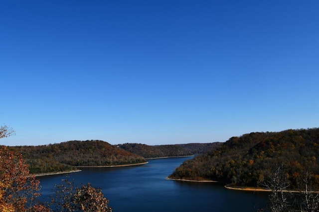 405 Maury Ln, Smithville, TN 37166 - photo 3