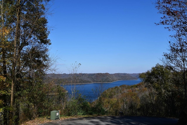 405 Maury Ln, Smithville, TN 37166 - photo 13