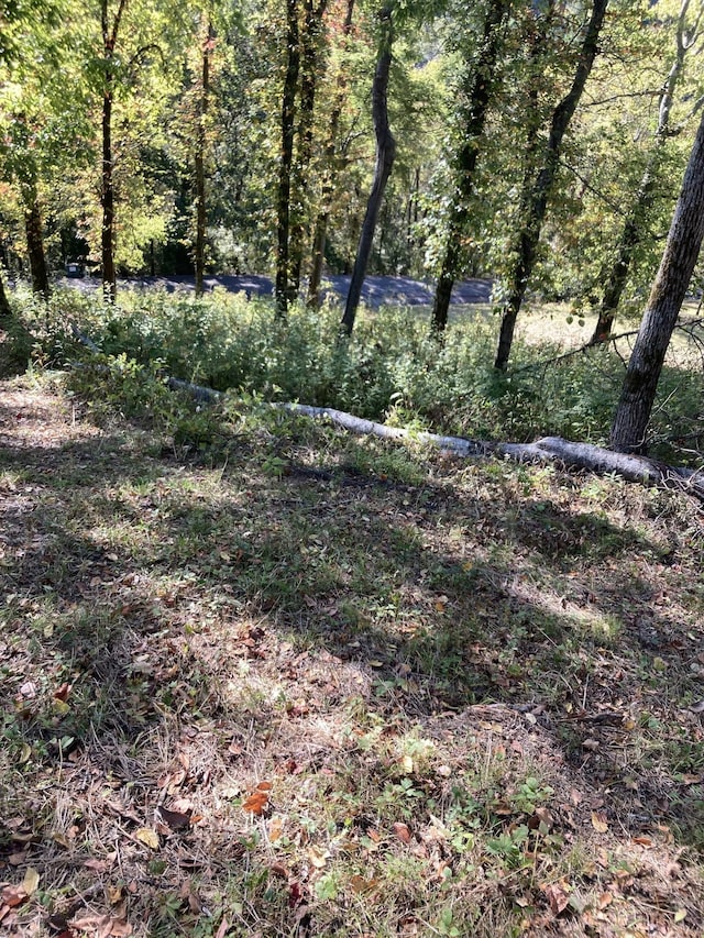 405 Maury Ln, Smithville, TN 37166 - photo 35