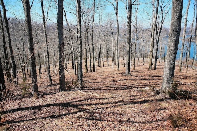 405 Maury Ln, Smithville, TN 37166 - photo 18