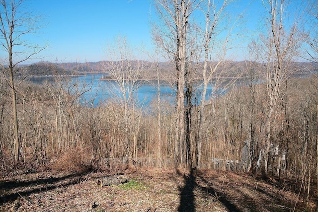 405 Maury Ln, Smithville, TN 37166 - photo 14