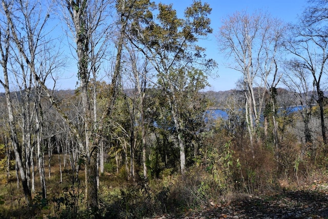 405 Maury Ln, Smithville, TN 37166 - photo 17