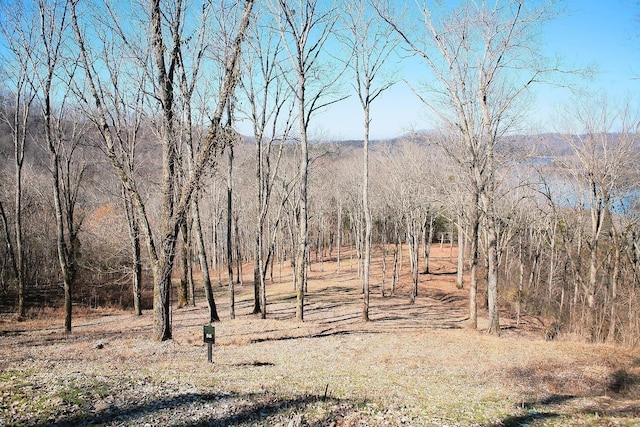405 Maury Ln, Smithville, TN 37166 - photo 16