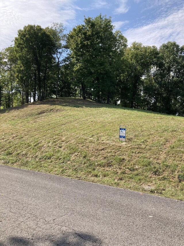 405 Maury Ln, Smithville, TN 37166 - photo 31