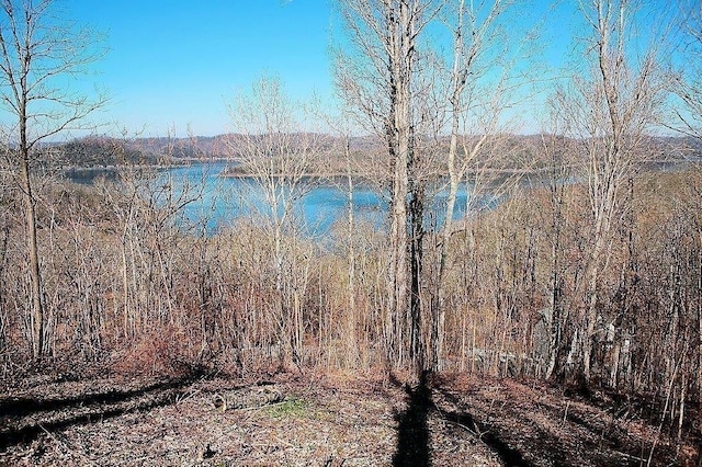 405 Maury Ln, Smithville, TN 37166 - photo 11