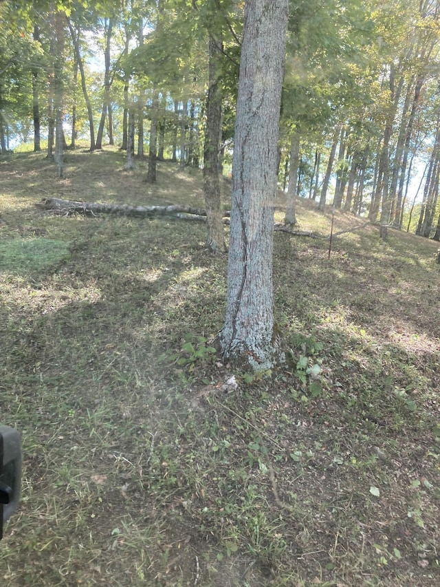 405 Maury Ln, Smithville, TN 37166 - photo 10