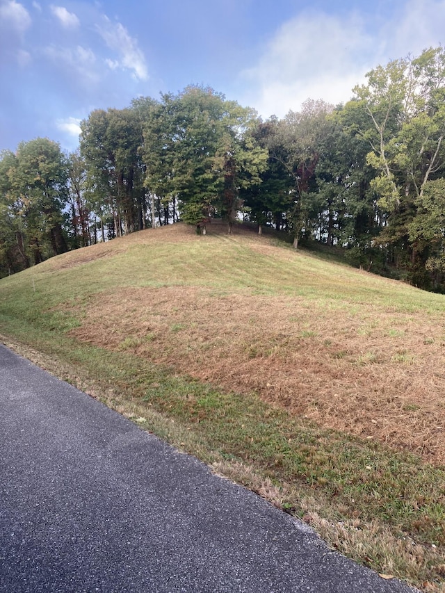 405 Maury Ln, Smithville, TN 37166 - photo 8