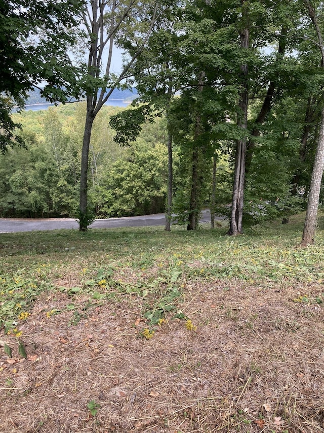 405 Maury Ln, Smithville, TN 37166 - photo 30