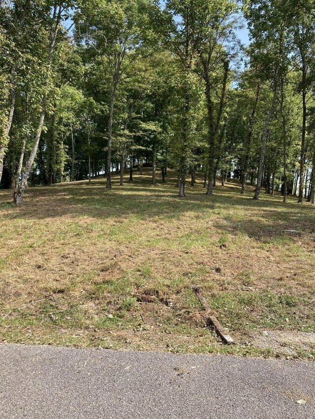 405 Maury Ln, Smithville, TN 37166 - photo 32