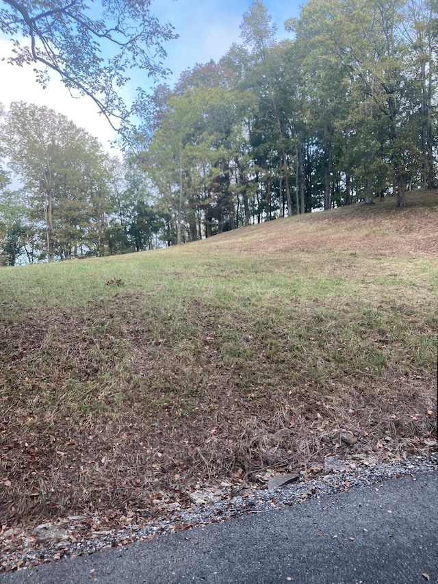 405 Maury Ln, Smithville, TN 37166 - photo 36
