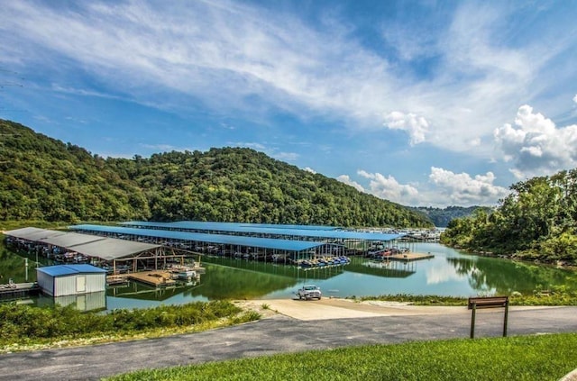 405 Maury Ln, Smithville, TN 37166 - photo 24