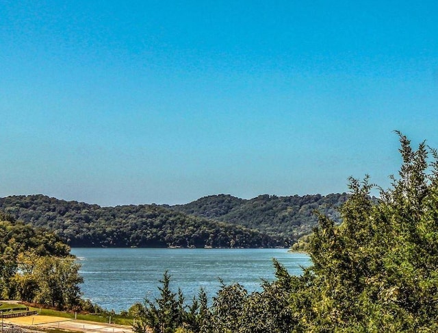 220 Wilson Cir, Smithville, TN 37166 - photo 18