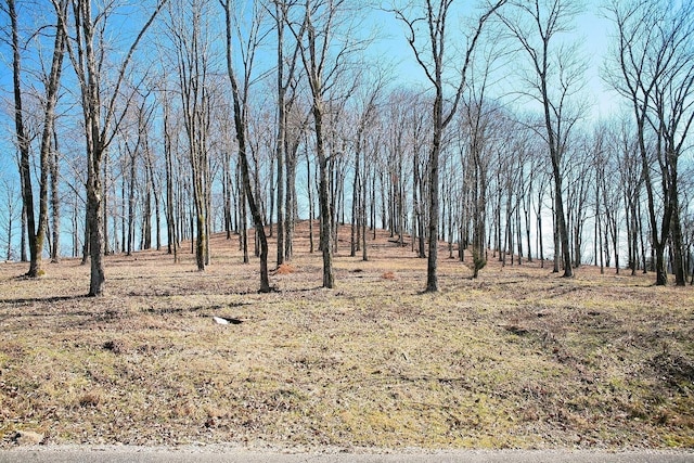 220 Wilson Cir, Smithville, TN 37166 - photo 4