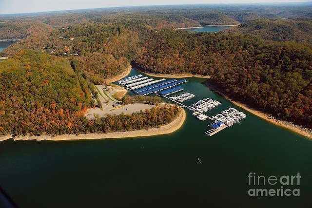413 Maury Ln, Smithville, TN 37166 - photo 22