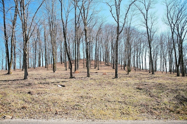 413 Maury Ln, Smithville, TN 37166 - photo 3