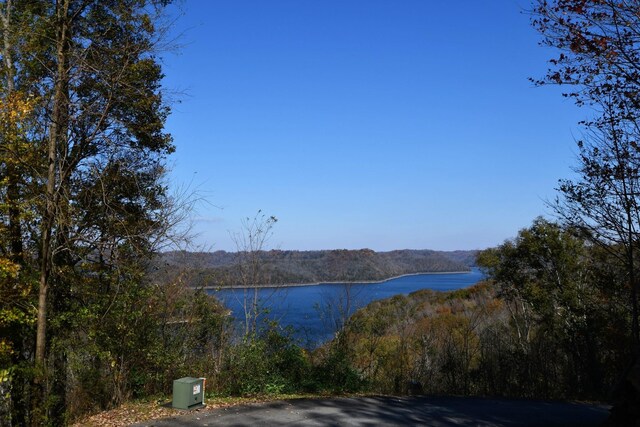 409 Maury Ln, Smithville, TN 37166 - photo 3