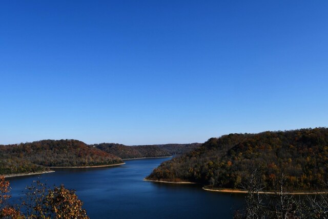 411 Maury Ln, Smithville, TN 37166 - photo 27