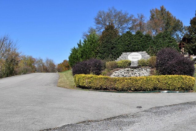 411 Maury Ln, Smithville, TN 37166 - photo 26