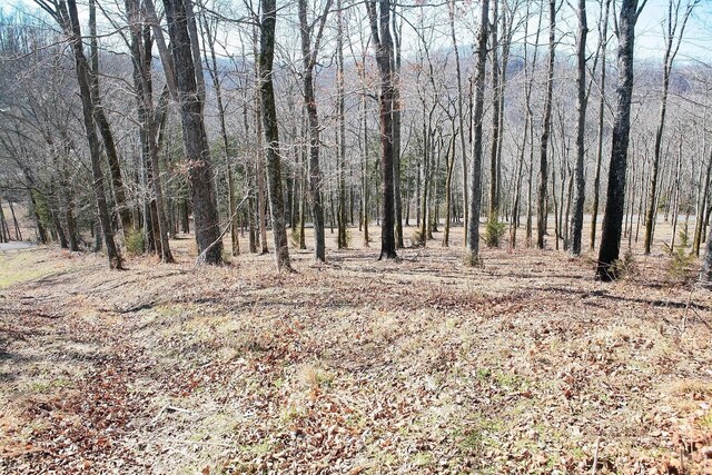 411 Maury Ln, Smithville, TN 37166 - photo 8