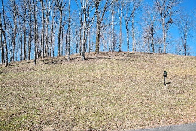 411 Maury Ln, Smithville, TN 37166 - photo 7