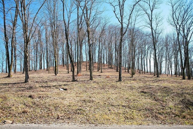 411 Maury Ln, Smithville, TN 37166 - photo 6