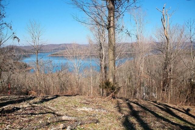 411 Maury Ln, Smithville, TN 37166 - photo 5