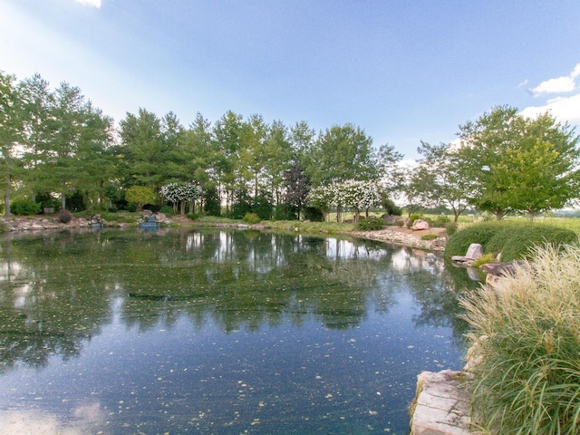 1480 Old Hunters Point Pike, Lebanon, TN 37087 - photo 8