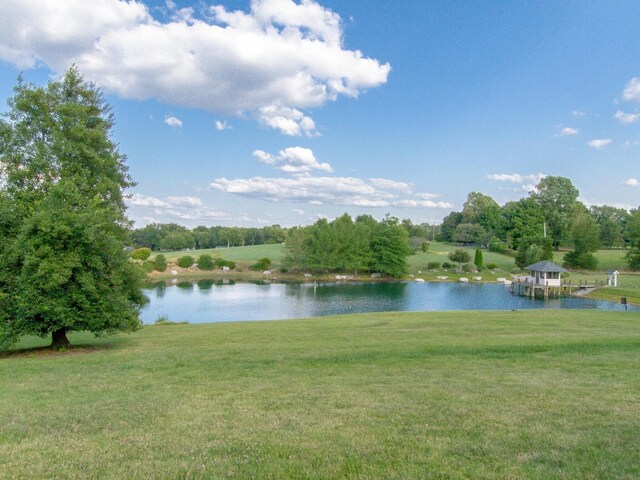 1480 Old Hunters Point Pike, Lebanon, TN 37087 - photo 4