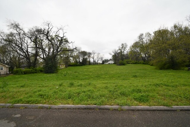 1409 Jones Ave, Nashville, TN 37207 - photo 10