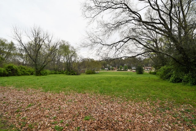 1409 Jones Ave, Nashville, TN 37207 - photo 17