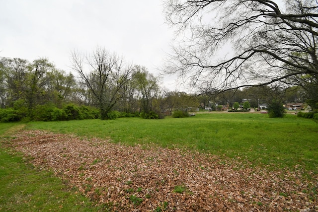1409 Jones Ave, Nashville, TN 37207 - photo 15