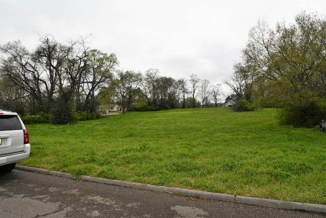 1409 Jones Ave, Nashville, TN 37207 - photo 5