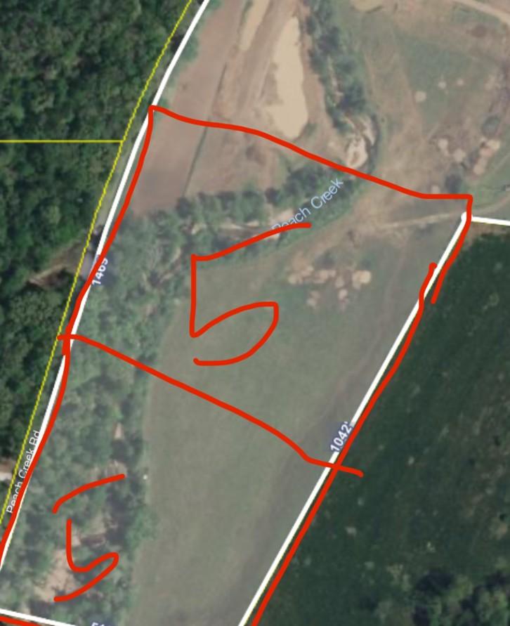 2300 Peach Creek Rd, Mc Ewen, TN 37101 - photo 1