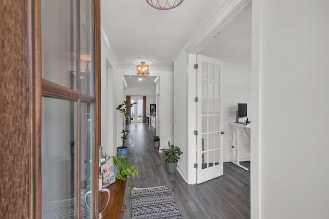 373 Hammock Ln, Spring Hill, TN 37174 - hallway with crown molding, dark wood-style flooring, and french doors