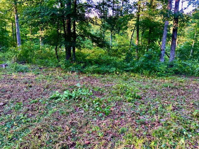 0 Bear Creek Rd, Waverly, TN 37185