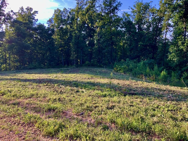 0 Bear Creek Rd, Waverly, TN 37185