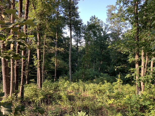 0 Bear Creek Rd, Waverly, TN 37185